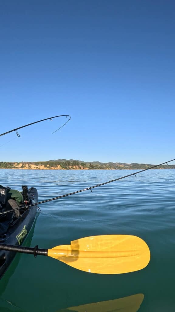 Bending that softbait rod