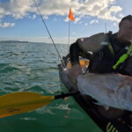 Large snapper caught on kayak