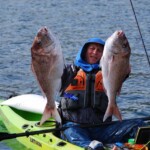 Mercury island snapper caught on K-Labs 4-6kg