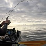 Double hookup on K-Labs softbait rods with both rods loaded under pressure in NZ waters