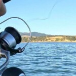 K-Labs softbait rod and spinning reel fishing from kayak in NZ waters