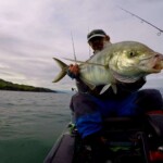Angler holding trevally on softbait setup in shallow coastal water