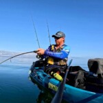 Softbait rod loaded up on fish from kayak in calm blue water