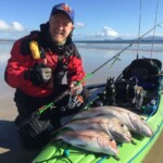 Nice haul of snapper using a K-Labs softbait rod