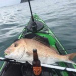 Snapper landed on softbait setup aboard kayak in New Zealand waters
